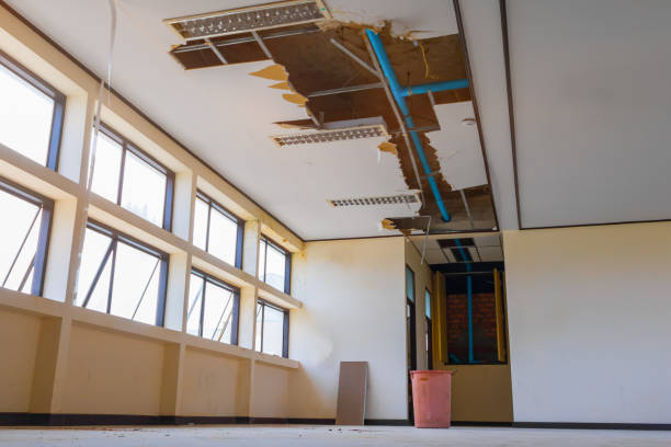 Best Local water damage restoration  in Cocoa Beach, FL