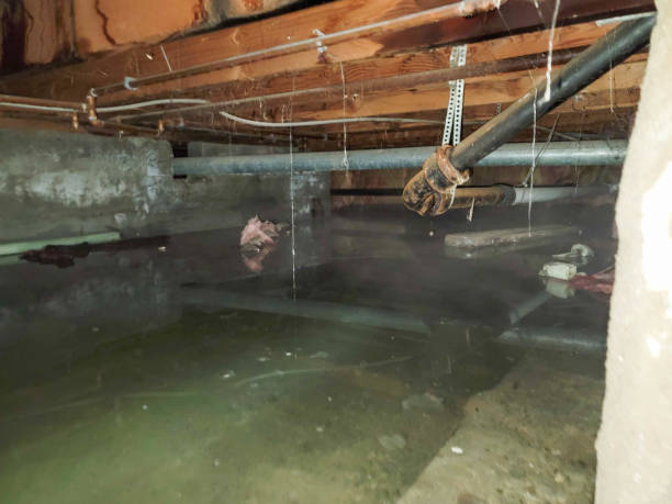 Best Residential water damage restoration  in Cocoa Beach, FL