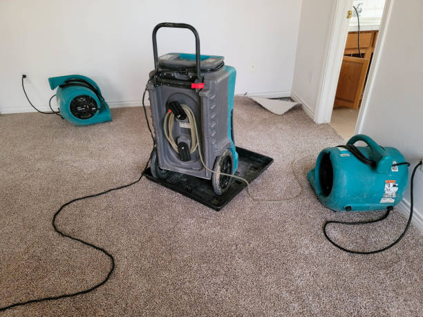 Best 24/7 water damage repair  in Cocoa Beach, FL