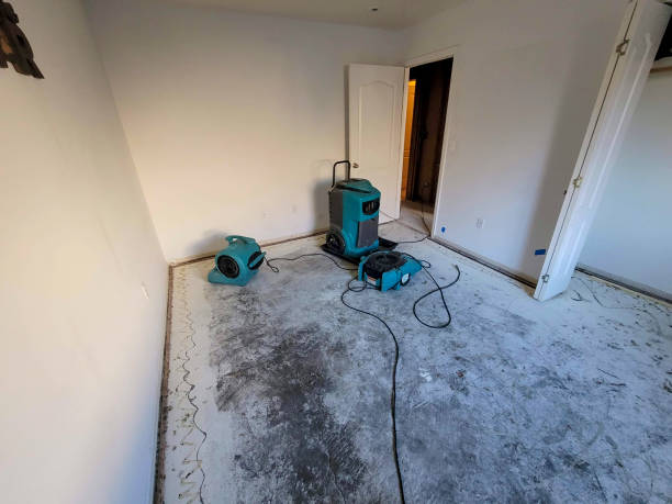 Best Mold removal after water damage  in Cocoa Beach, FL
