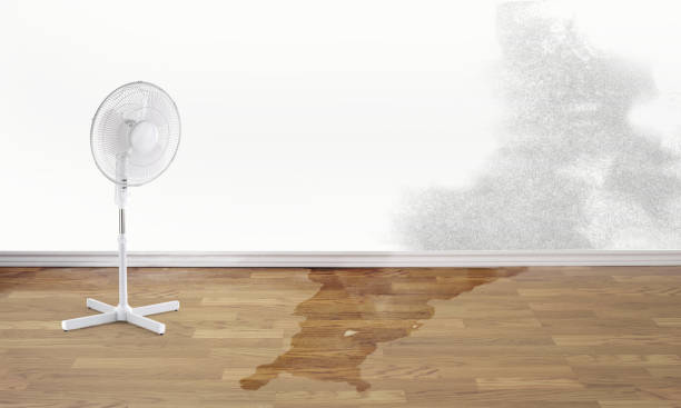 Best Water damage restoration near me  in Cocoa Beach, FL