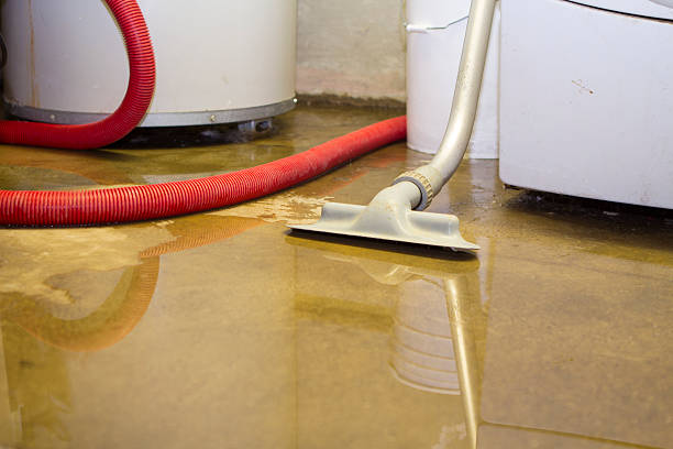 , FL Water damage restoration Company