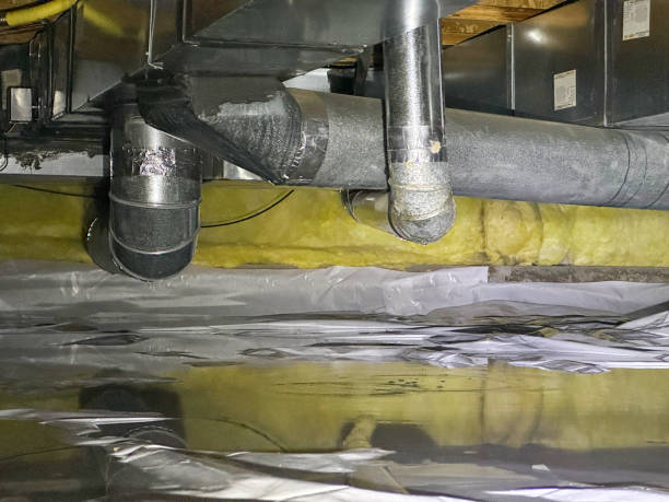 Best 24-hour water damage restoration  in Cocoa Beach, FL