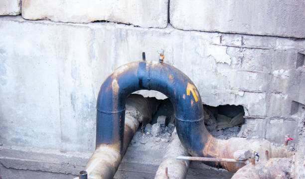 Carpet water damage restoration in FL