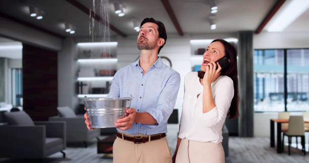 Best Carpet water damage restoration  in Cocoa Beach, FL