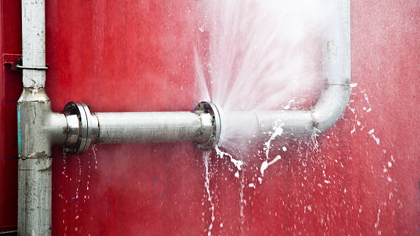 Best Flooded house restoration  in Cocoa Beach, FL