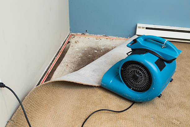 Best Professional water damage repair  in Cocoa Beach, FL